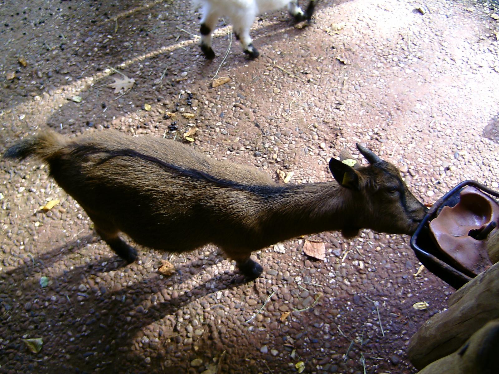 Zoom 18.10.08-090.jpg